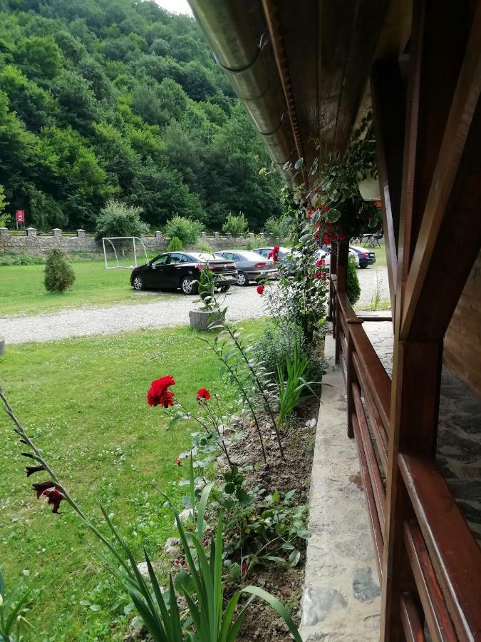 Pensiunea La Busu -Bigar Bozovici Bagian luar foto