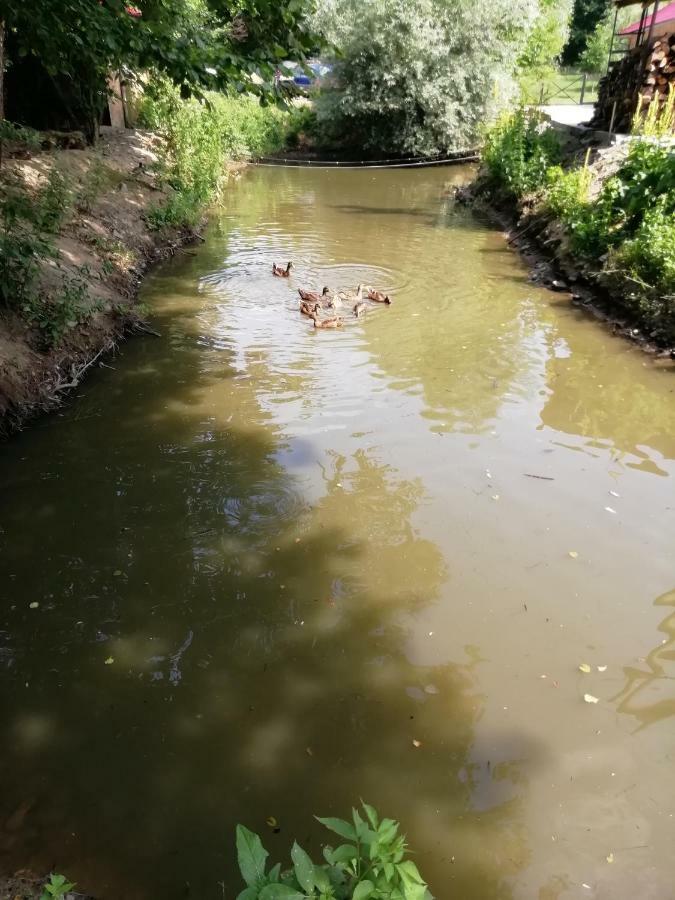 Pensiunea La Busu -Bigar Bozovici Bagian luar foto