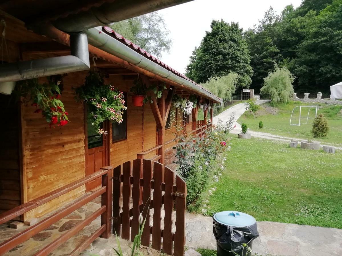 Pensiunea La Busu -Bigar Bozovici Bagian luar foto