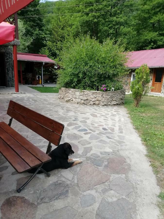 Pensiunea La Busu -Bigar Bozovici Bagian luar foto